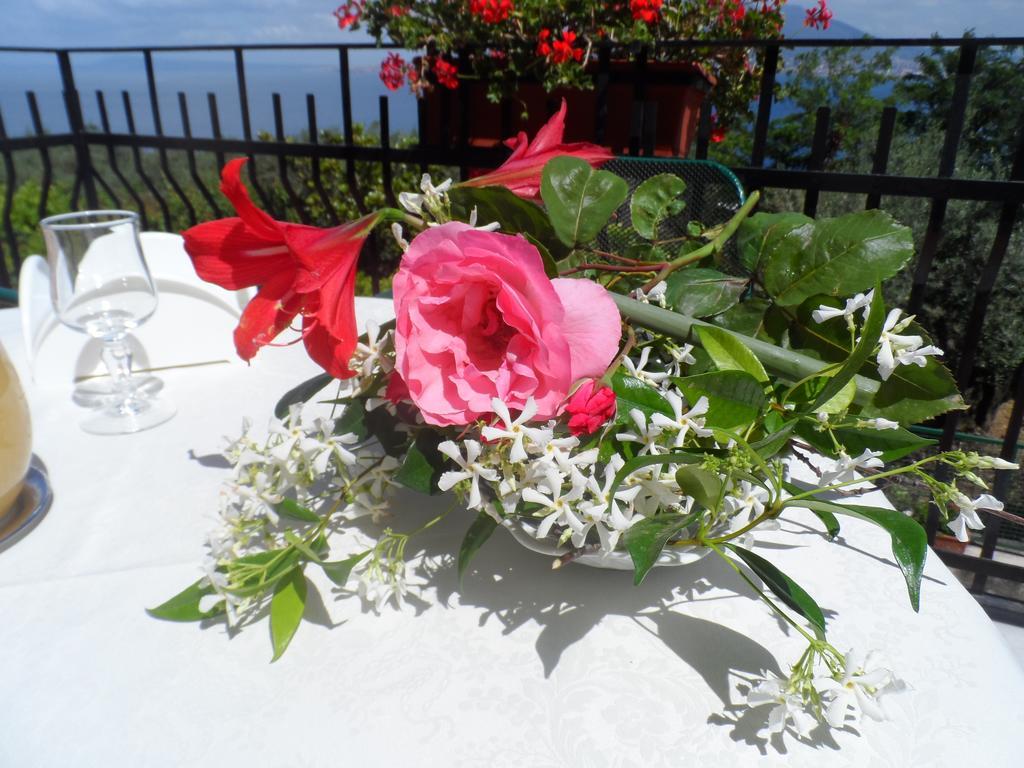 Ancelle Sorrento - Casa D'Accoglienza Hotell Castellammare di Stabia Eksteriør bilde